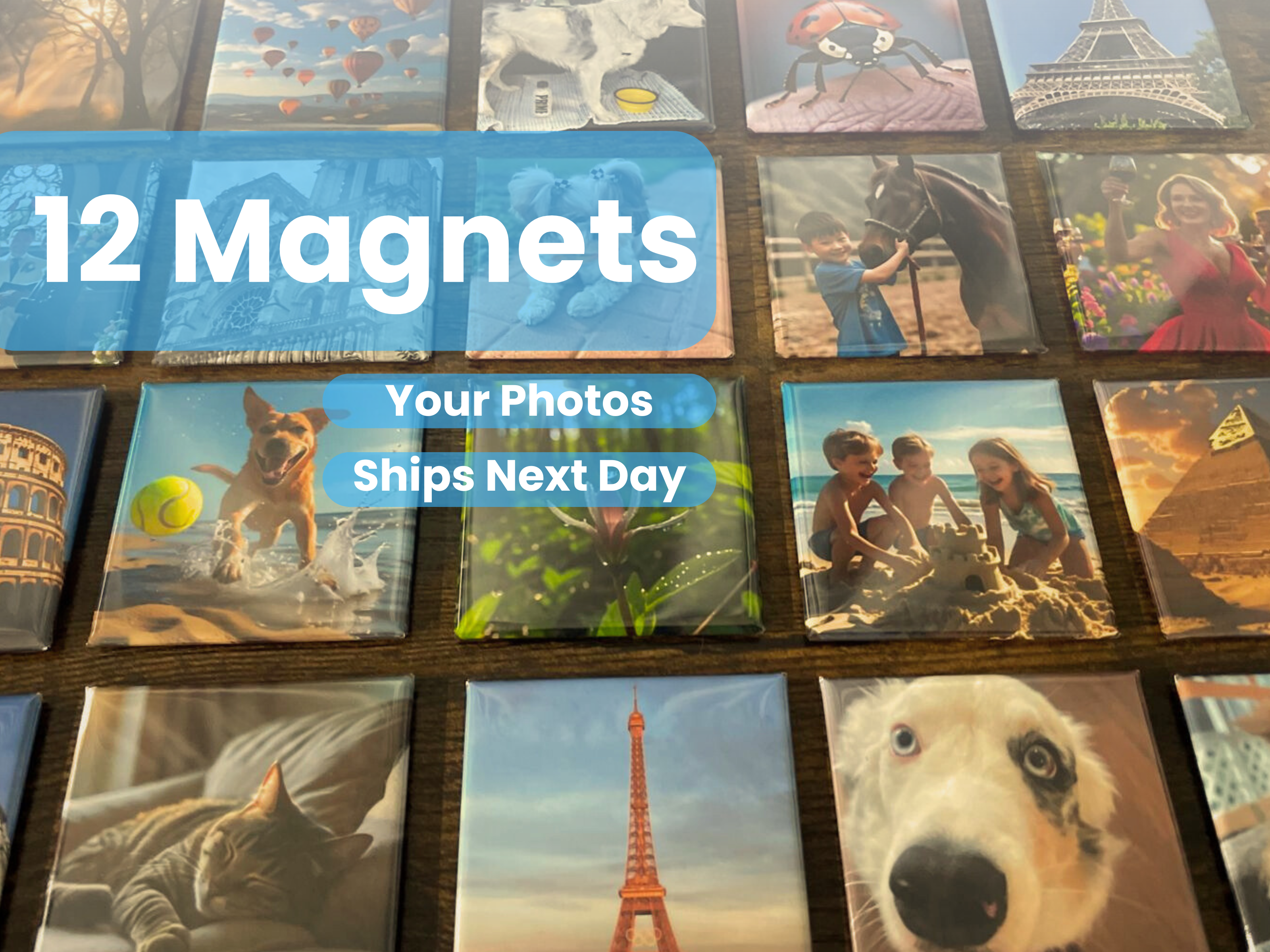 Custom set of 12 2x2 in. Magnets