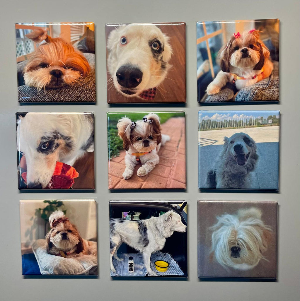 Personalizable set of 9 2x2 in. Magnets