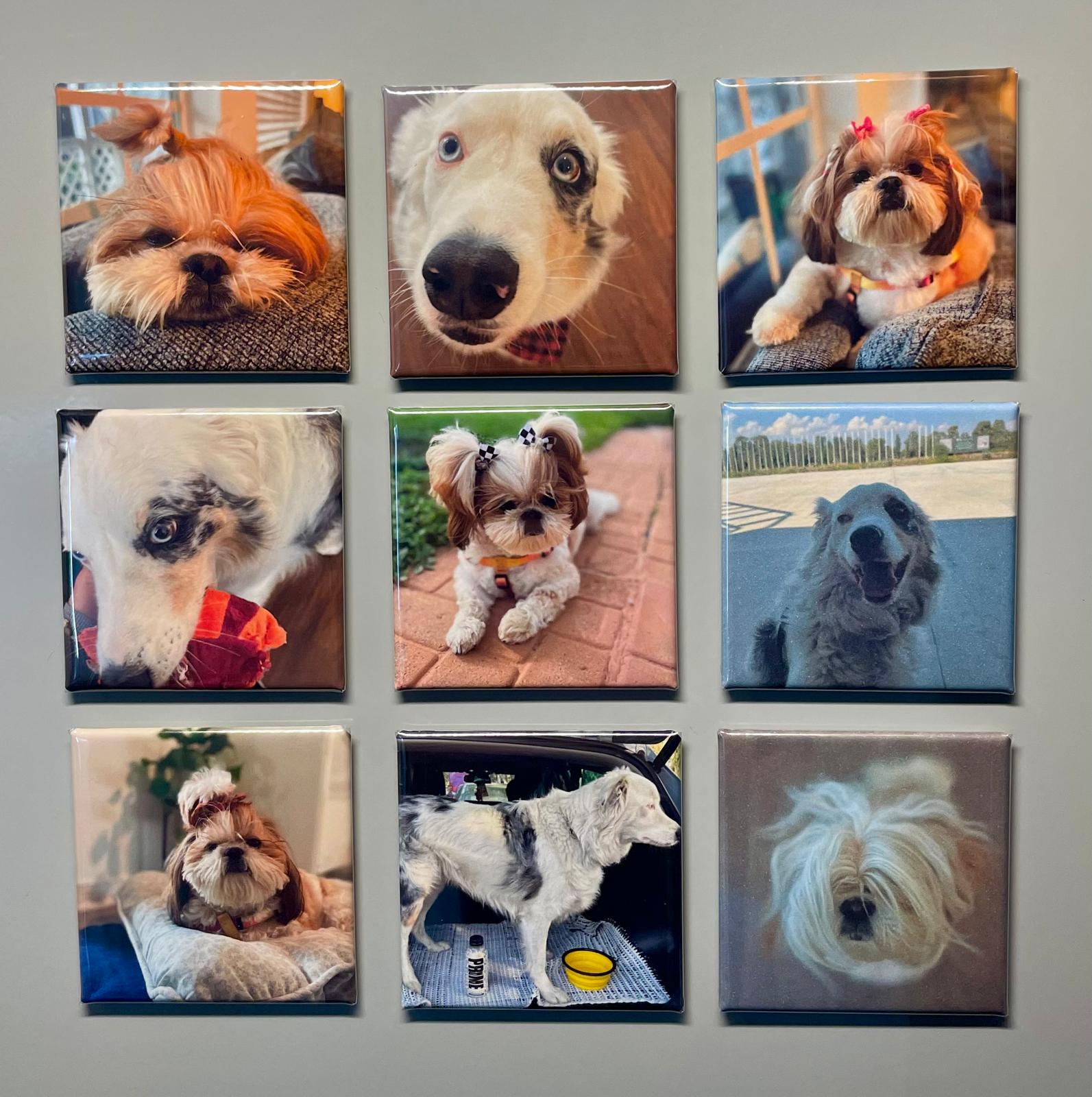 Personalizable set of 9 2x2 in. Magnets