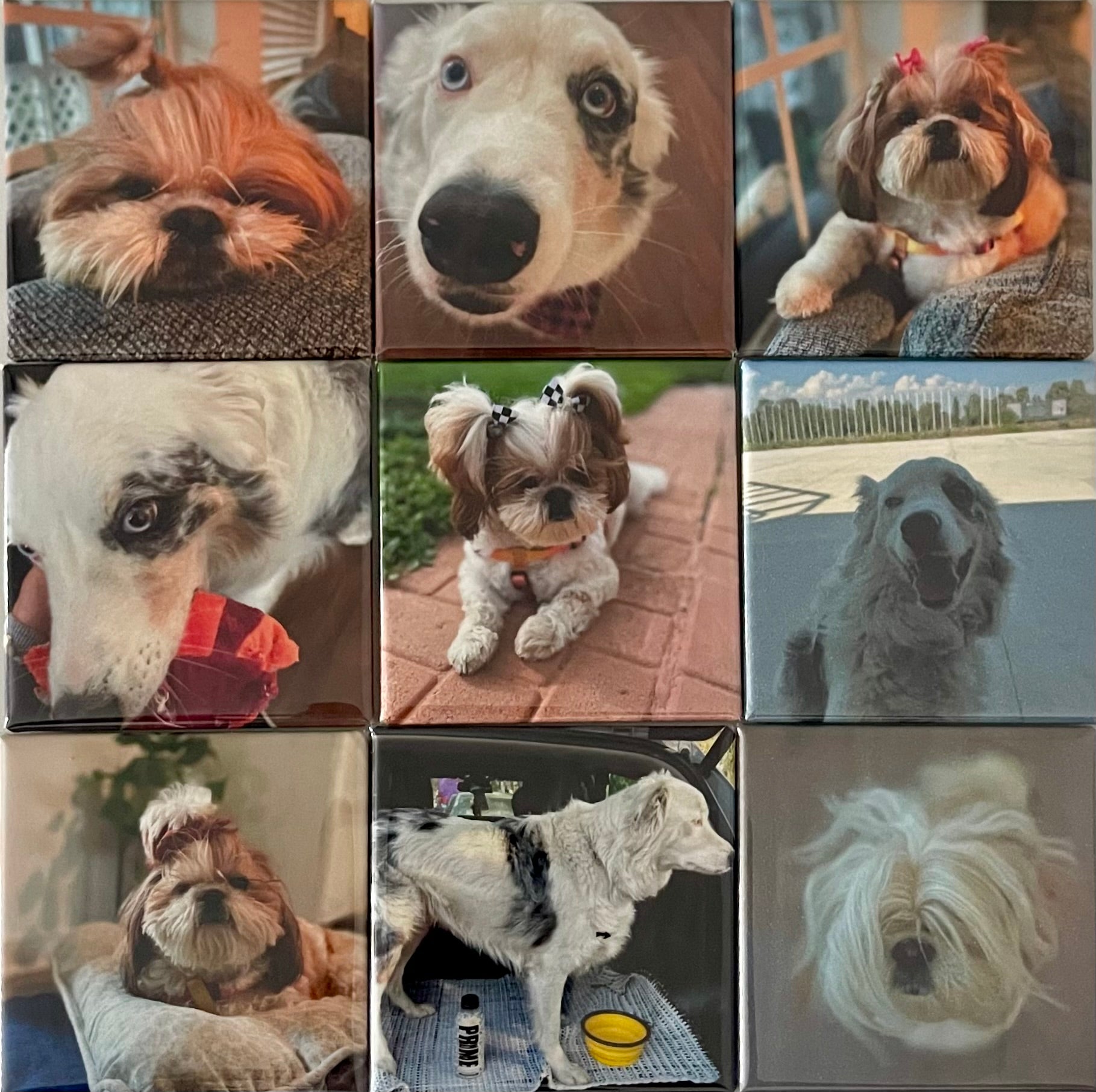 Personalizable set of 9 2x2 in. Magnets