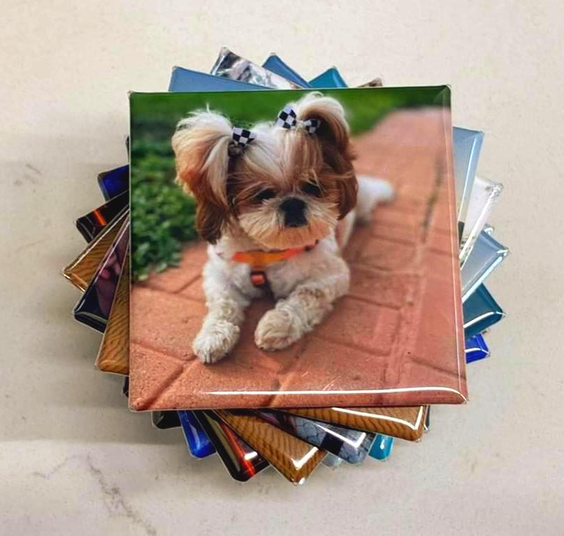 Custom set of 3 2x2 in. Magnets